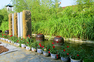 草莓视频APP在线下载園一瞥