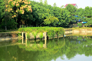 草莓视频APP在线下载園湖光美景
