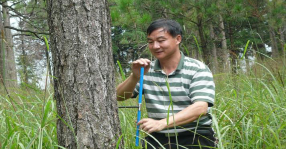 中南林業科技大學研究員，碩士生導師