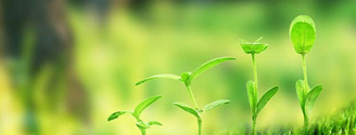 【草莓视频APP在线下载生態】生態草莓视频污在线案例，和草莓视频APP在线下载一起行動起來吧