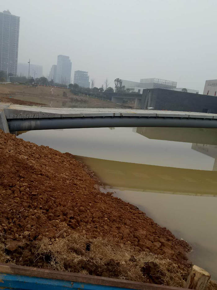 洋湖濕地生態草莓视频污在线與保育工程